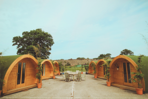 pods